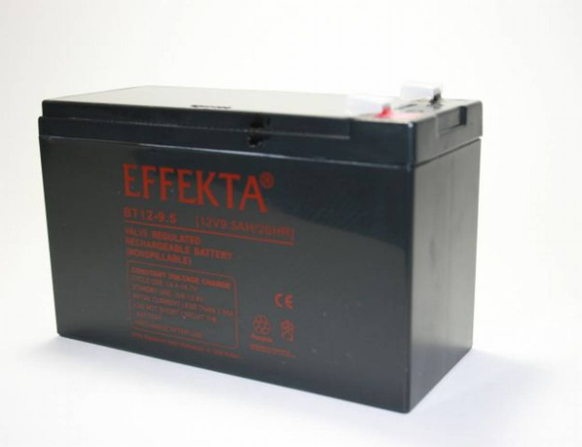 Batteria AGM Effekta BT 12-9,5K 12V 9,5Ah