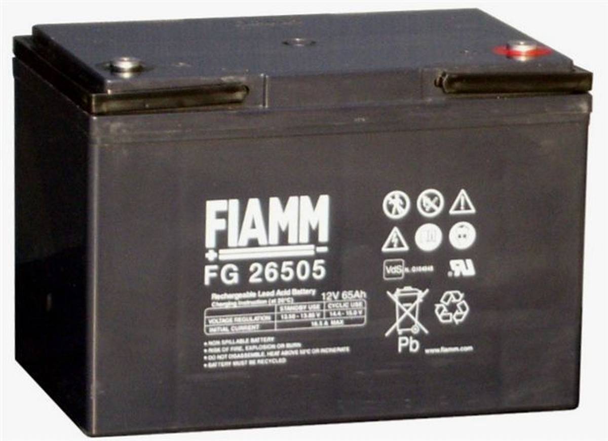 Fiamm FG26507 Batteria AGM 12V 65Ah con VdS (FG26505)